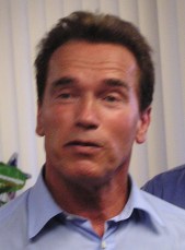 Picture of Arnold Schwarzenegger 